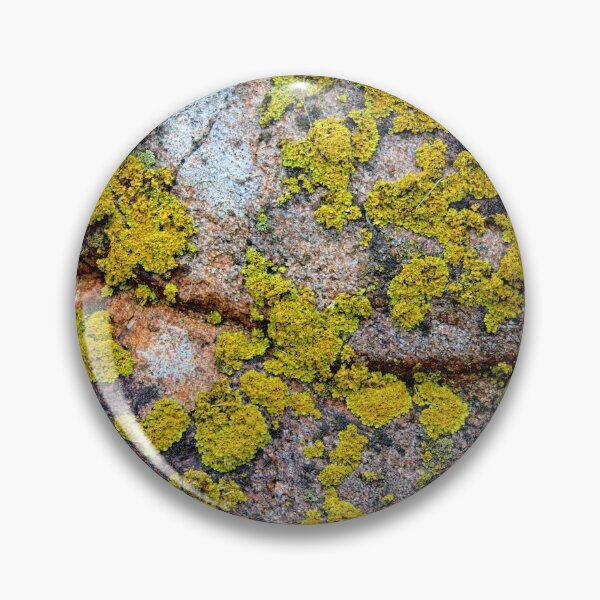 Item preview, Life On A Rock designed and sold by LynyrdSky.