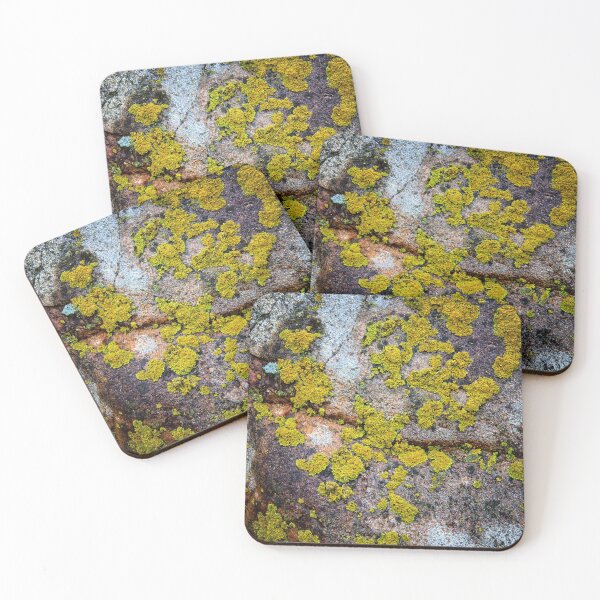 Item preview, Life On A Rock designed and sold by LynyrdSky.