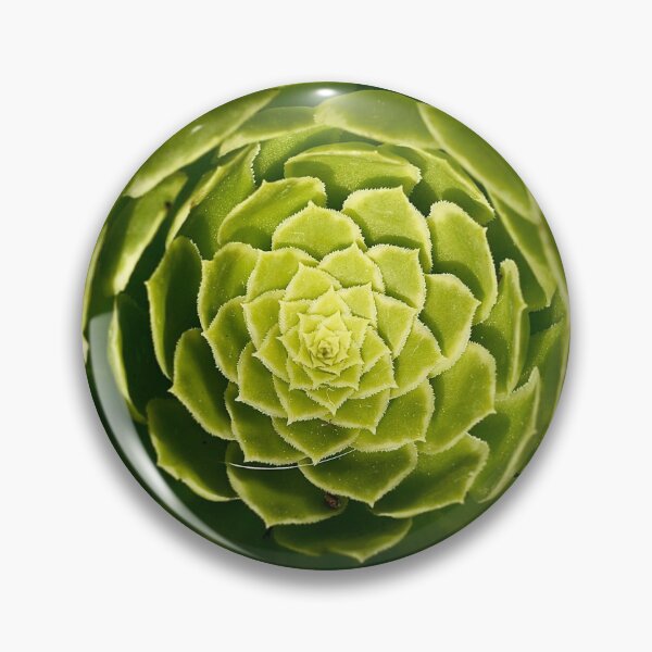 Item preview, Succulent Swirl designed and sold by tasturm1.
