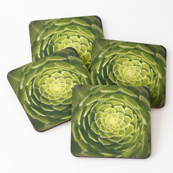 Item preview, Succulent Swirl designed and sold by tasturm1.