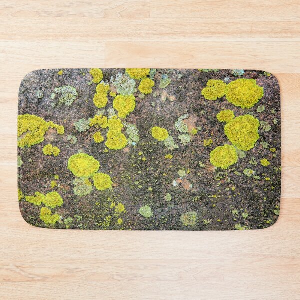 Item preview, Life On A Rock 3 designed and sold by LynyrdSky.