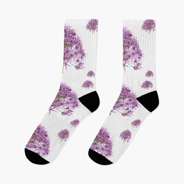 Item preview, Allium stipitatum  'Violet Beauty'  designed and sold by Chris Burrows.