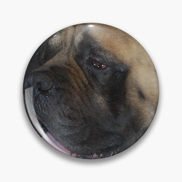 Item preview, Mastiff designed and sold by lizdomett.