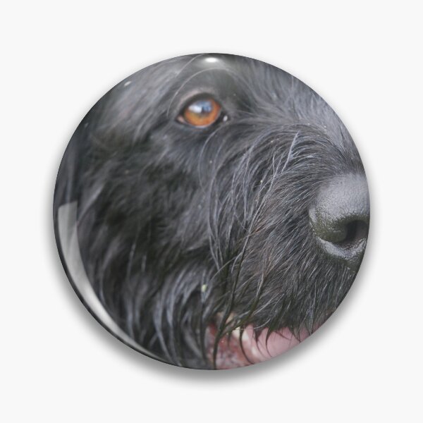 Item preview, Labradoodle designed and sold by lizdomett.