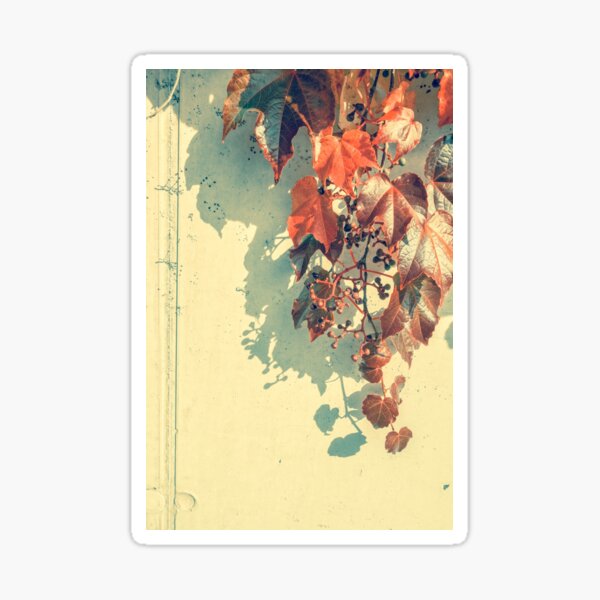 Grapes of Autumn Sticker