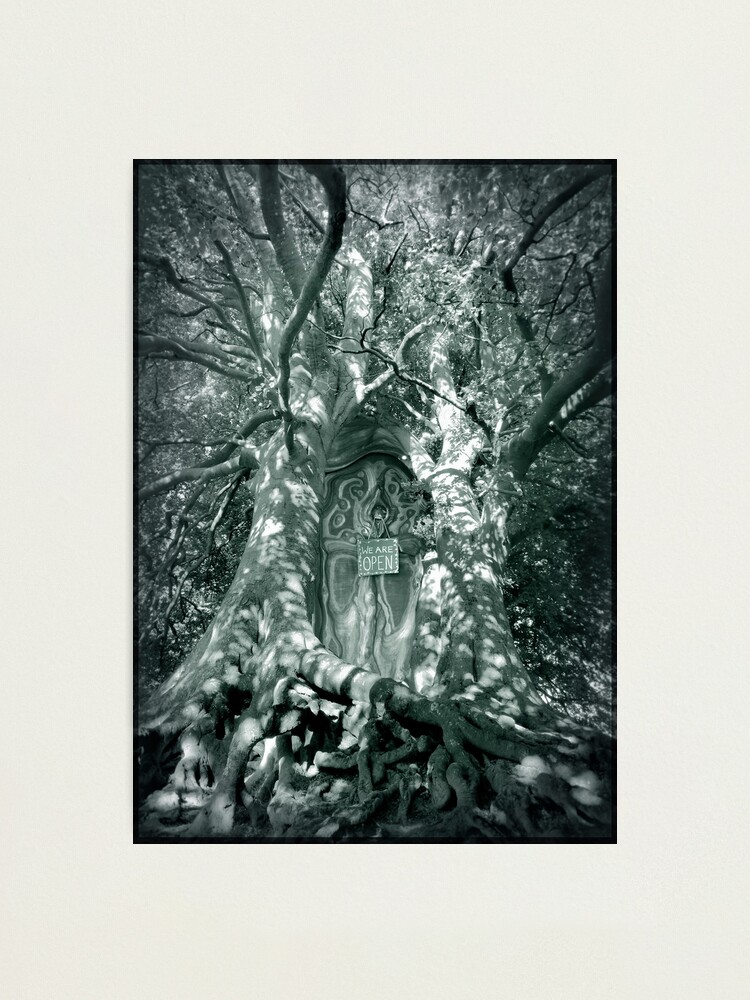 Alternate view of We are open to explorers of magic Photographic Print