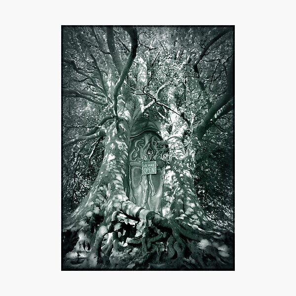 We are open to explorers of magic Photographic Print