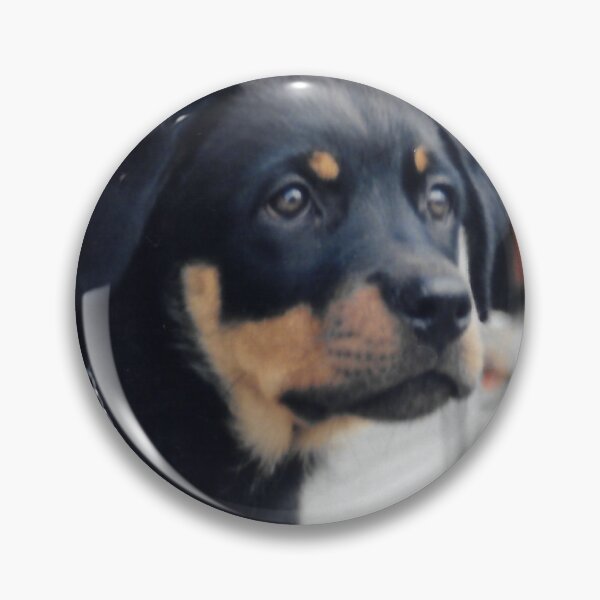 Item preview, Little Softy designed and sold by lizdomett.