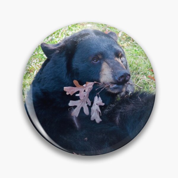 Item preview, Roll With It designed and sold by Karen Peron.