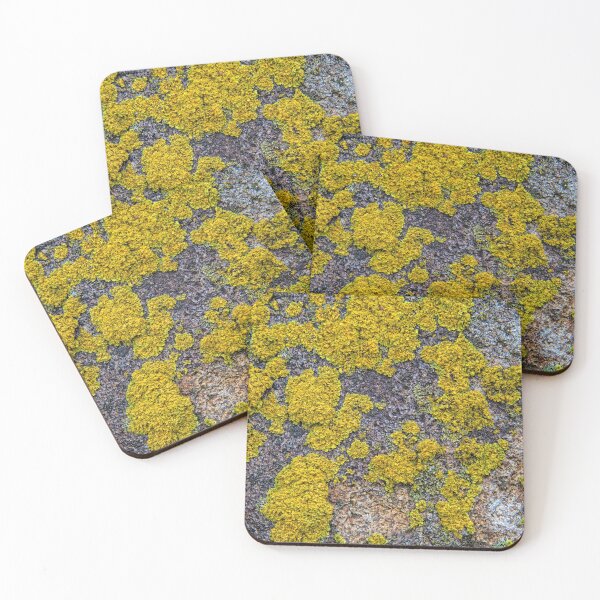 Item preview, Life On A Rock 4 designed and sold by LynyrdSky.