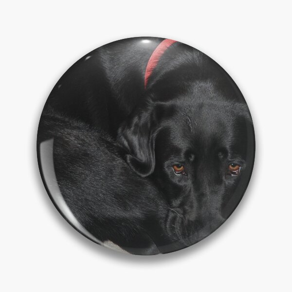 Item preview, This is my Pillow designed and sold by lizdomett.