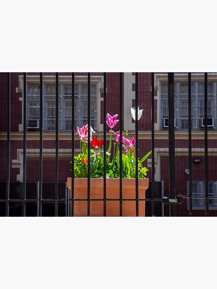 "Flowers During Lockdown 2020 in New York City" Sticker by TekArtist Redbubble