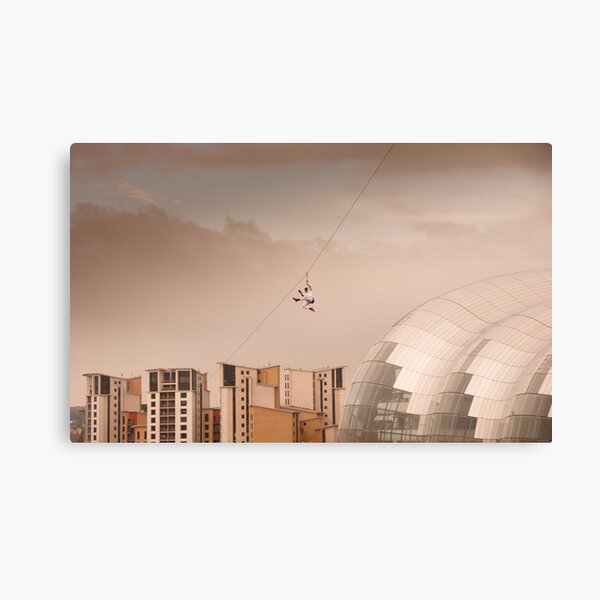 Zip Wire - Bear Grylls Canvas Print
