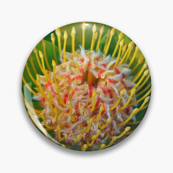 Item preview, Protea designed and sold by tasturm1.
