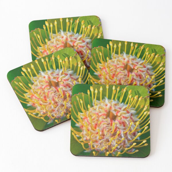 Item preview, Protea designed and sold by tasturm1.