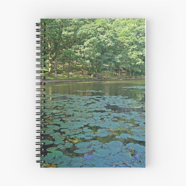 Item preview, Late Summer Llyn-y-Forwyn designed and sold by VikingVisual.