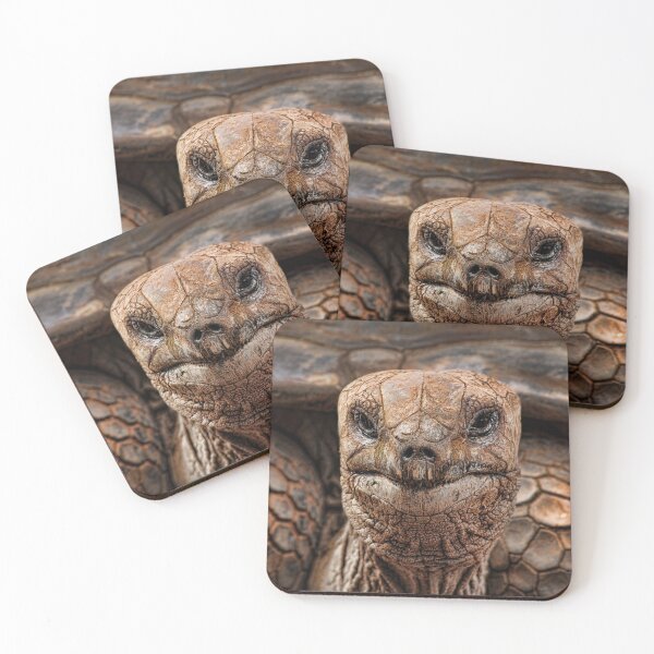 Item preview, Great-great-great-grand-tortoise designed and sold by chuckirina.