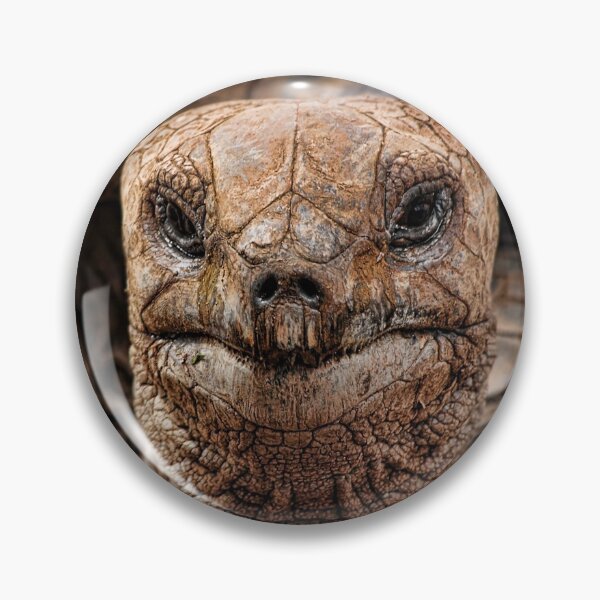 Item preview, Great-great-great-grand-tortoise designed and sold by chuckirina.