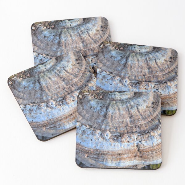Item preview, Lastyears Dryads Saddle designed and sold by LynyrdSky.