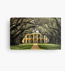 Oak Alley Plantation Metal Print