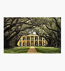 Oak Alley Plantation Photographic Print