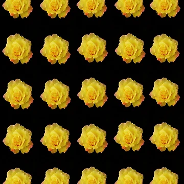Artwork thumbnail, A BUNCH OF ROSES by DebbieThompson
