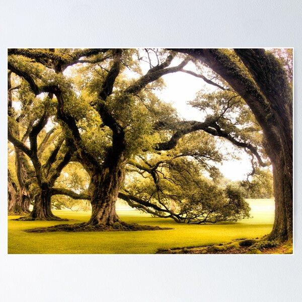 Item preview, Oaks designed and sold by SuddenJim.