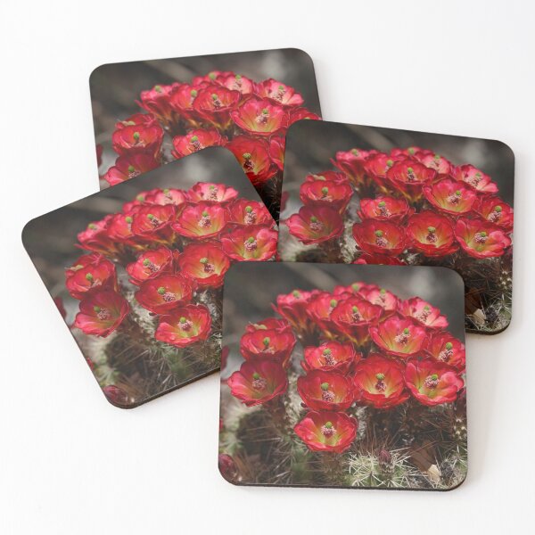 Item preview, Bright Red Cactus Flowers designed and sold by MomentofPercep.