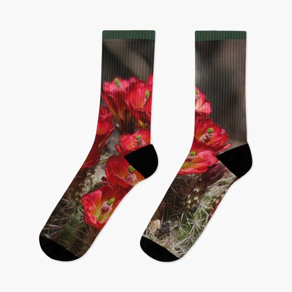 Item preview, Bright Red Cactus Flowers designed and sold by MomentofPercep.