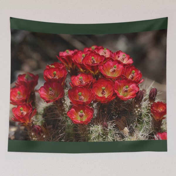 Item preview, Bright Red Cactus Flowers designed and sold by MomentofPercep.