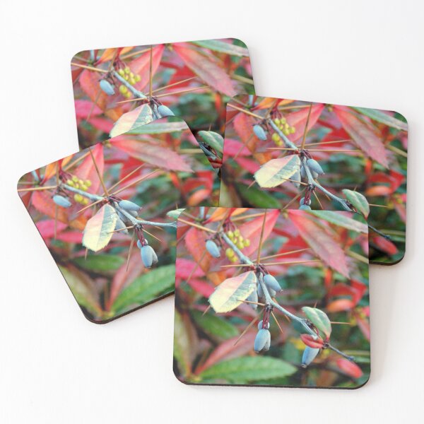 Item preview, Thorns, Berries and Leaves  designed and sold by branaghbel.
