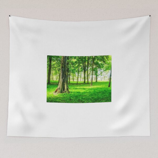 Item preview, Calmness designed and sold by EvaMarIza.