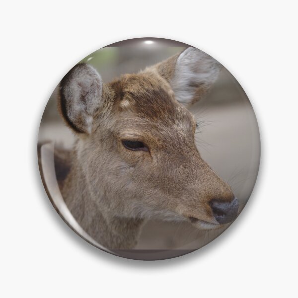 Artikelvorschau, Sika Deer (Cervus nippon) aus Nara, Japan entworfen und verkauft von rodmacpherson.