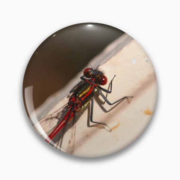 Item preview, Damselfly on a bench designed and sold by GreyFeatherPhot.