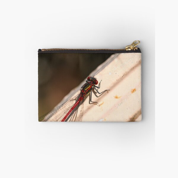 Item preview, Damselfly on a bench designed and sold by GreyFeatherPhot.