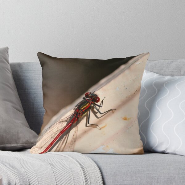 Item preview, Damselfly on a bench designed and sold by GreyFeatherPhot.