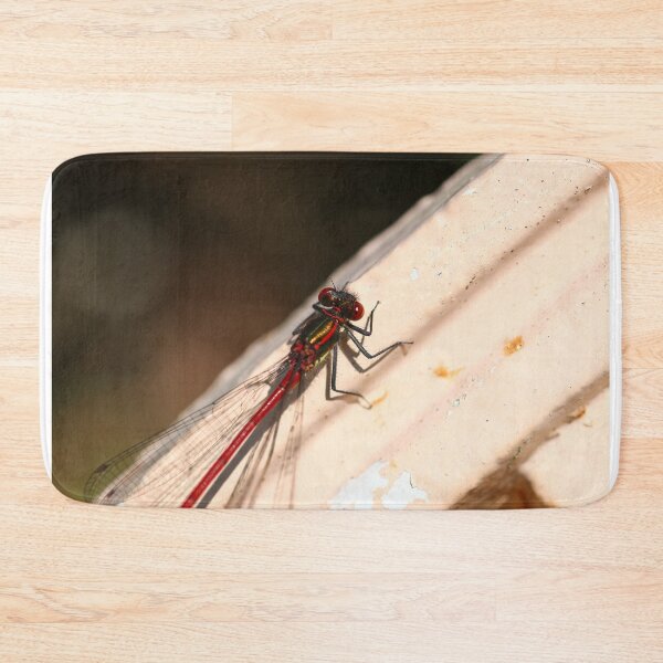 Item preview, Damselfly on a bench designed and sold by GreyFeatherPhot.
