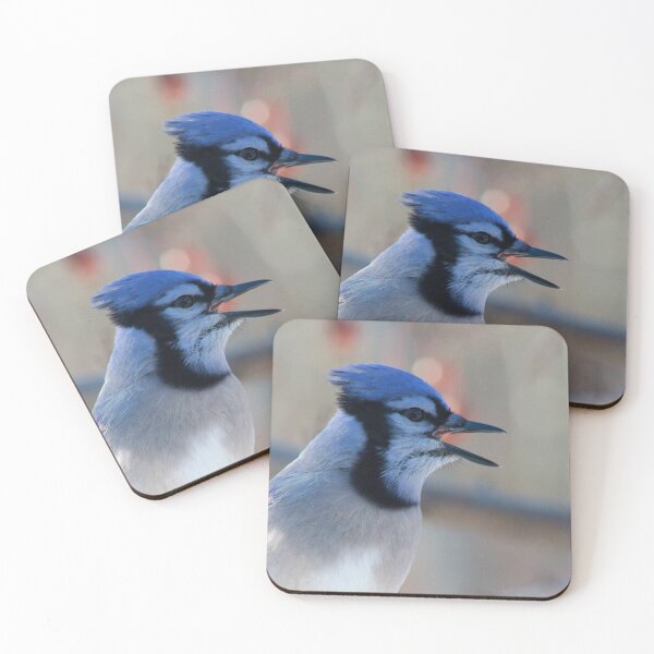 Item preview, Bluejay designed and sold by maxinemwhite.