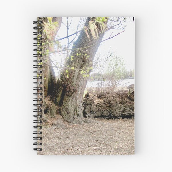 Item preview, Willow Tree designed and sold by Shulie1.