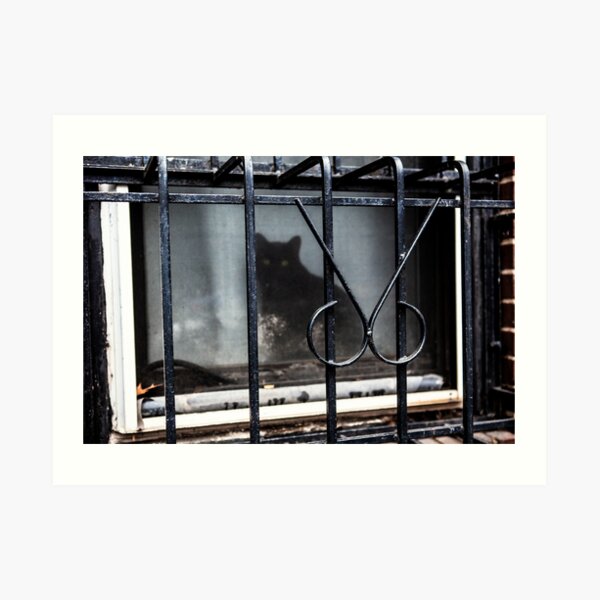 Cat under Lockdown in New York City Art Print