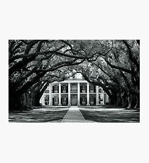 Plantation Photographic Print