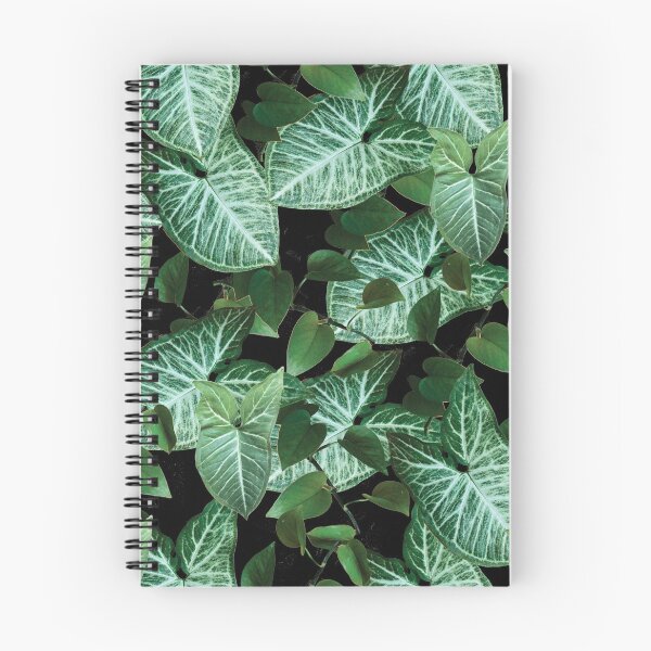 Item preview, Nepthytis and Philodendron II designed and sold by Jennystorch.