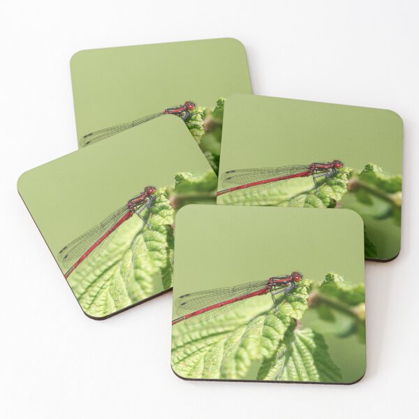 Item preview, Damselfly on a leaf designed and sold by GreyFeatherPhot.