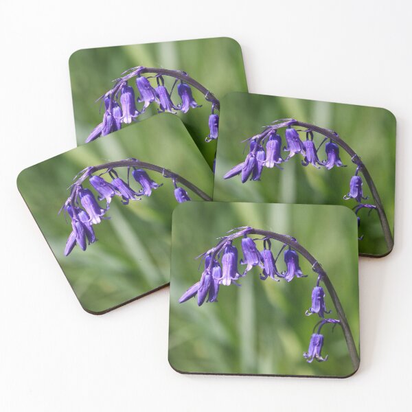 Item preview, Drooping bluebells designed and sold by GreyFeatherPhot.