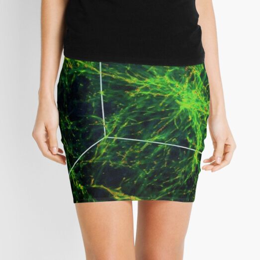 #Astronomy, #Cosmology, #AstroPhysics, #Universe, Exploring the Nature of the Inter- and Circum-galactic Media Mini Skirt