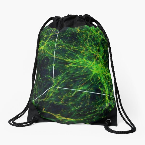#Astronomy, #Cosmology, #AstroPhysics, #Universe, Exploring the Nature of the Inter- and Circum-galactic Media Drawstring Bag