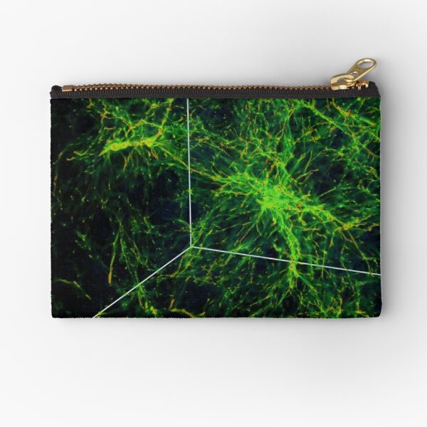 #Astronomy, #Cosmology, #AstroPhysics, #Universe, Exploring the Nature of the Inter- and Circum-galactic Media Zipper Pouch