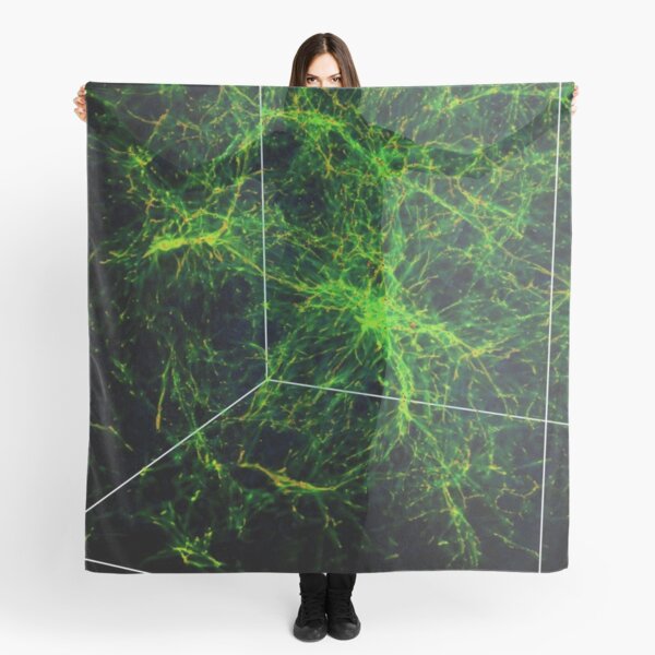 #Astronomy, #Cosmology, #AstroPhysics, #Universe, Exploring the Nature of the Inter- and Circum-galactic Media Scarf