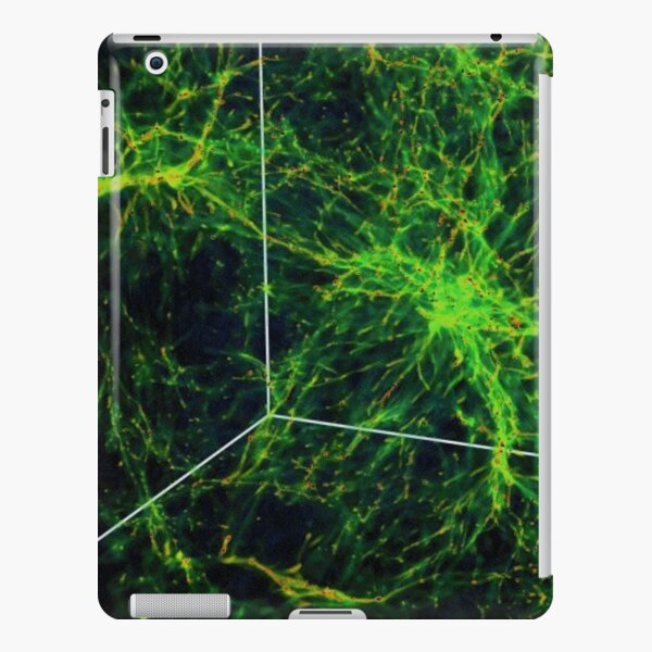 #Astronomy, #Cosmology, #AstroPhysics, #Universe, Exploring the Nature of the Inter- and Circum-galactic Media iPad Snap Case