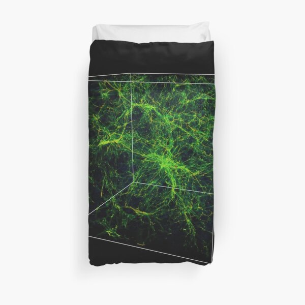 #Astronomy, #Cosmology, #AstroPhysics, #Universe, Exploring the Nature of the Inter- and Circum-galactic Media Duvet Cover